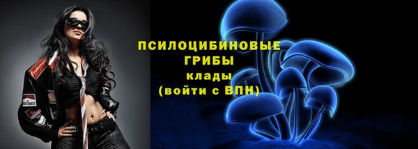 ГАЛЛЮЦИНОГЕННЫЕ ГРИБЫ Алзамай