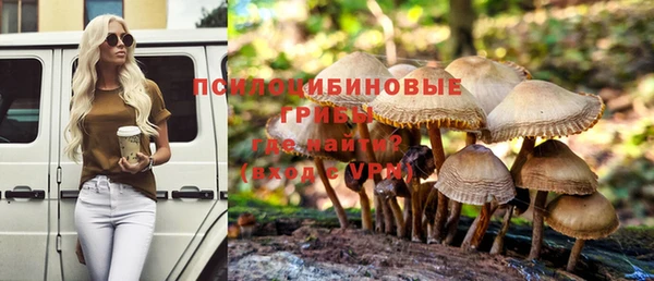круглые Осташков