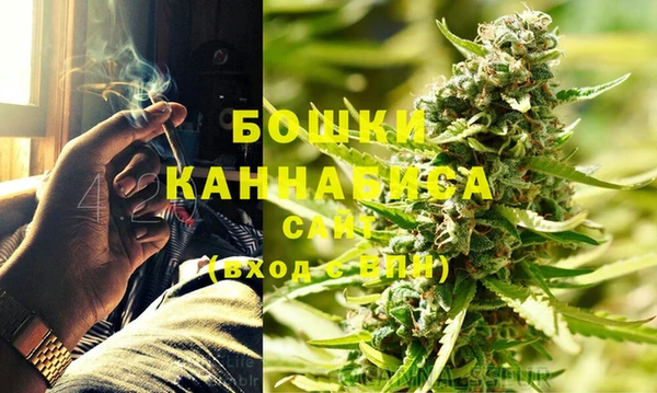 гидра Аркадак