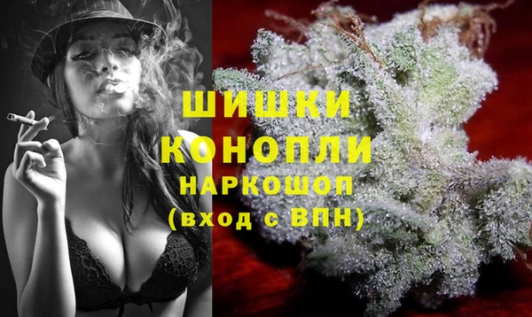 гидра Аркадак